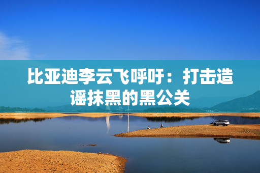 比亚迪李云飞呼吁：打击造谣抹黑的黑公关