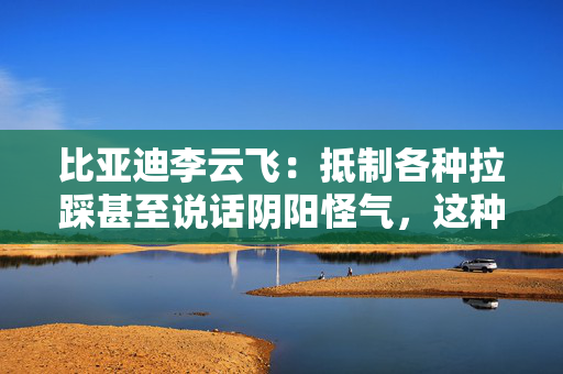 比亚迪李云飞：抵制各种拉踩甚至说话阴阳怪气，这种行为非常讨厌