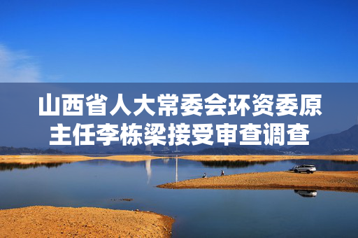 山西省人大常委会环资委原主任李栋梁接受审查调查
