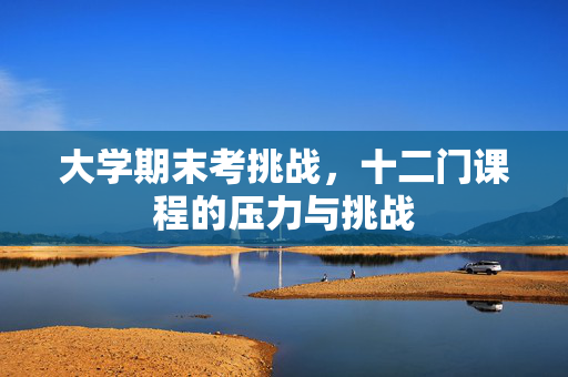 大学期末考挑战，十二门课程的压力与挑战