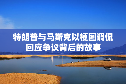特朗普与马斯克以梗图调侃回应争议背后的故事