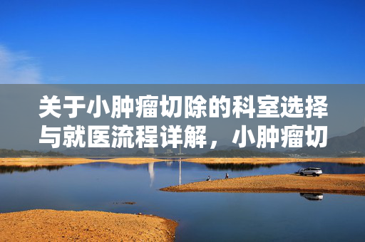 关于小肿瘤切除的科室选择与就医流程详解，小肿瘤切除应该挂什么科室？