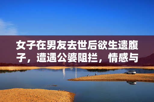 女子在男友去世后欲生遗腹子，遭遇公婆阻拦，情感与伦理的纠葛