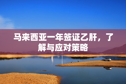 马来西亚一年签证乙肝，了解与应对策略