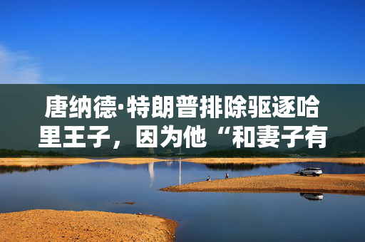 唐纳德·特朗普排除驱逐哈里王子，因为他“和妻子有足够多的问题”