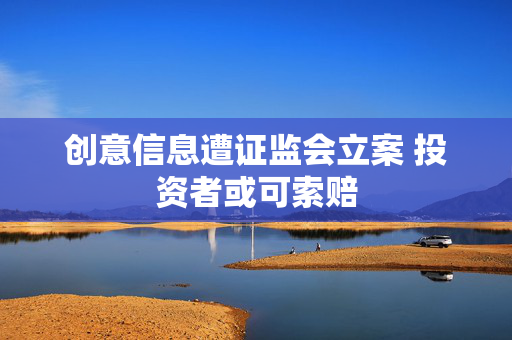 创意信息遭证监会立案 投资者或可索赔