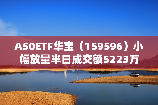 A50ETF华宝（159596）小幅放量半日成交额5223万元，换手率位居同类第一