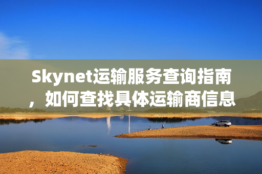 Skynet运输服务查询指南，如何查找具体运输商信息？详细步骤解析！