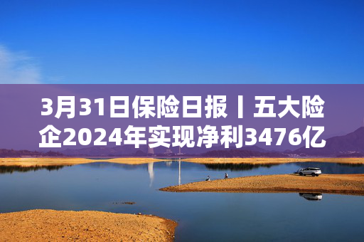3月31日保险日报丨五大险企2024年实现净利3476亿，坚持高股息策略，金融监管总局发布养老金融新政！