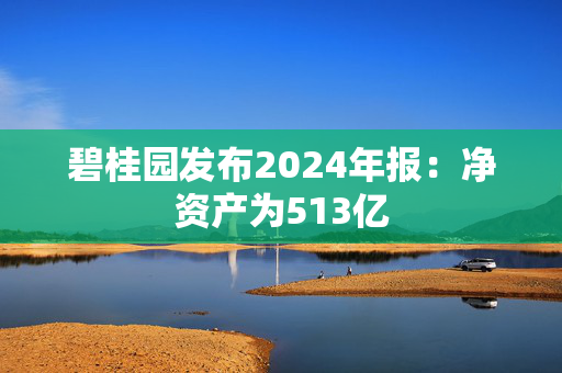 碧桂园发布2024年报：净资产为513亿