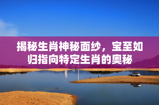 揭秘生肖神秘面纱，宝至如归指向特定生肖的奥秘