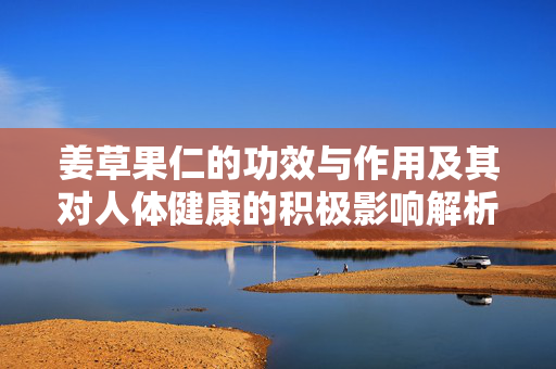 姜草果仁的功效与作用及其对人体健康的积极影响解析
