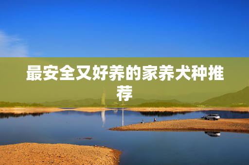 最安全又好养的家养犬种推荐