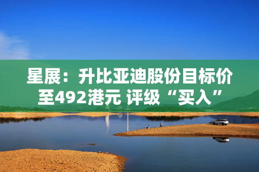 星展：升比亚迪股份目标价至492港元 评级“买入”