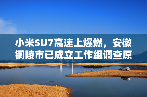 小米SU7高速上爆燃，安徽铜陵市已成立工作组调查原因