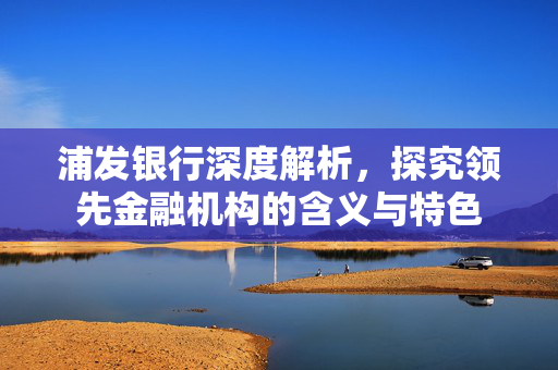 浦发银行深度解析，探究领先金融机构的含义与特色