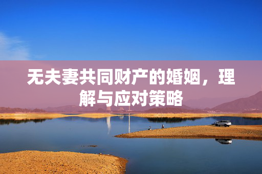 无夫妻共同财产的婚姻，理解与应对策略