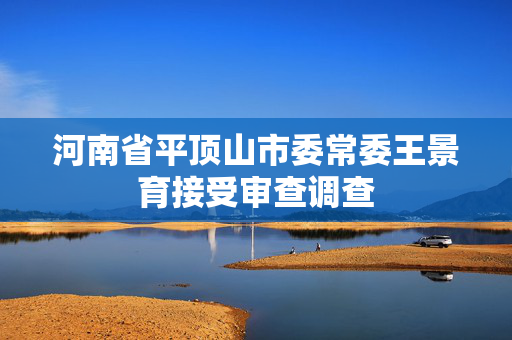 河南省平顶山市委常委王景育接受审查调查