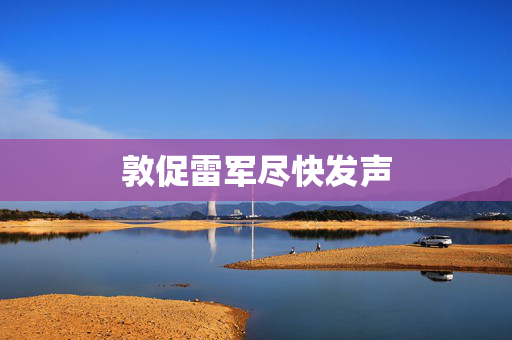 敦促雷军尽快发声