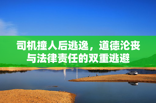 司机撞人后逃逸，道德沦丧与法律责任的双重逃避