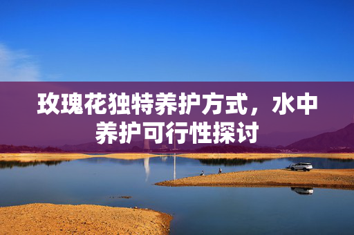玫瑰花独特养护方式，水中养护可行性探讨