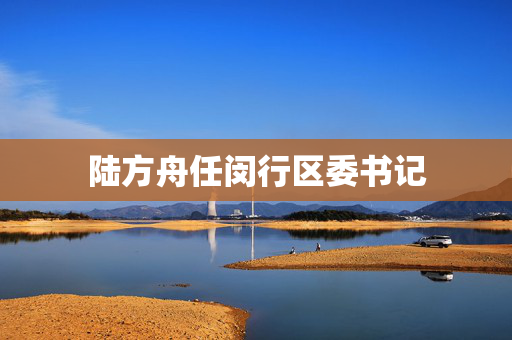 陆方舟任闵行区委书记