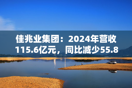 佳兆业集团：2024年营收115.6亿元，同比减少55.8%