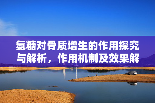 氨糖对骨质增生的作用探究与解析，作用机制及效果解析