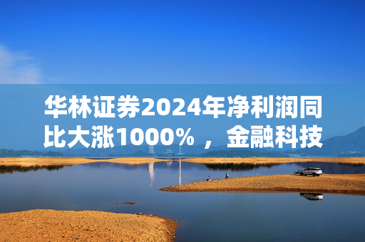 华林证券2024年净利润同比大涨1000% ，金融科技转型精准发力