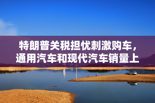 特朗普关税担忧刺激购车，通用汽车和现代汽车销量上升