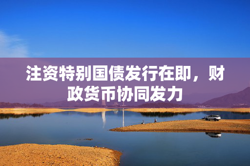 注资特别国债发行在即，财政货币协同发力