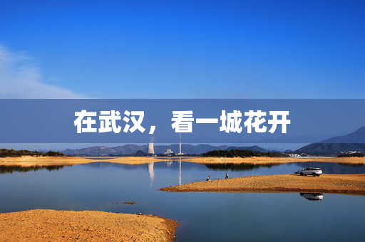 在武汉，看一城花开