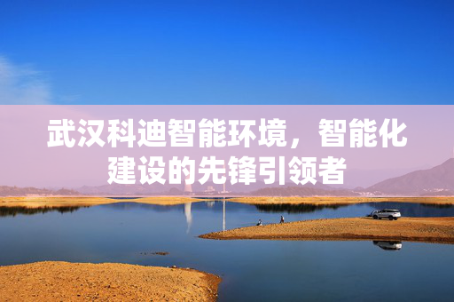 武汉科迪智能环境，智能化建设的先锋引领者