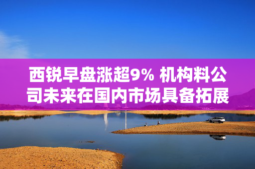 西锐早盘涨超9% 机构料公司未来在国内市场具备拓展机遇