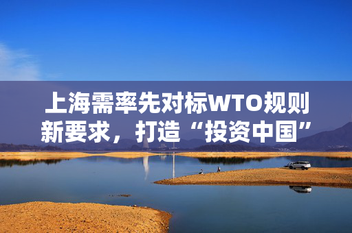 上海需率先对标WTO规则新要求，打造“投资中国”新品牌