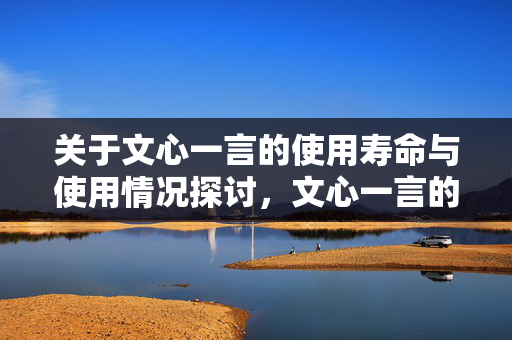 关于文心一言的使用寿命与使用情况探讨，文心一言的持久性与使用时长分析