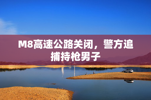 M8高速公路关闭，警方追捕持枪男子