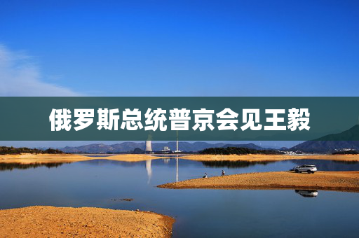 俄罗斯总统普京会见王毅