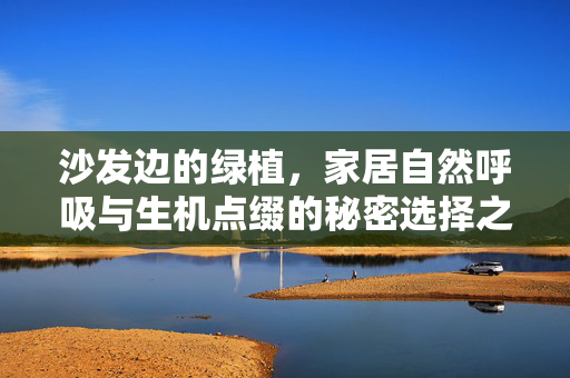 沙发边的绿植，家居自然呼吸与生机点缀的秘密选择之道