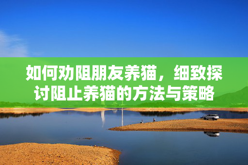 如何劝阻朋友养猫，细致探讨阻止养猫的方法与策略