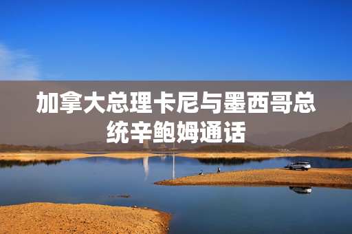 加拿大总理卡尼与墨西哥总统辛鲍姆通话