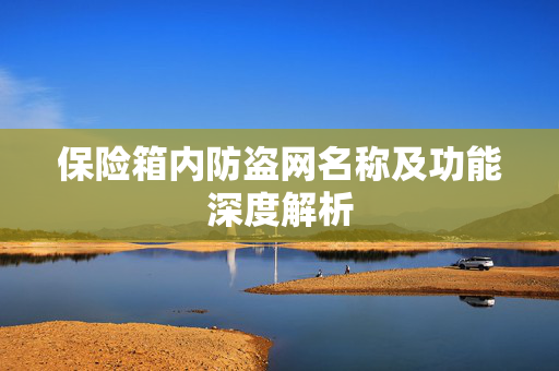 保险箱内防盗网名称及功能深度解析