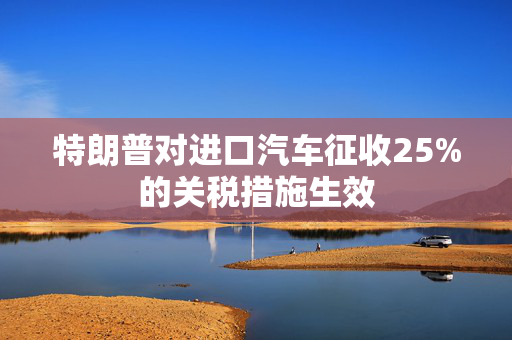 特朗普对进口汽车征收25%的关税措施生效