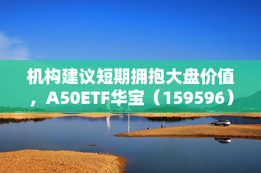 机构建议短期拥抱大盘价值，A50ETF华宝（159596）小幅放量