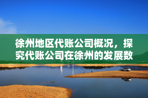 徐州地区代账公司概况，探究代账公司在徐州的发展数量与概况