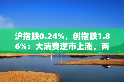 沪指跌0.24%，创指跌1.86%：大消费逆市上涨，两市成交1.1万亿元