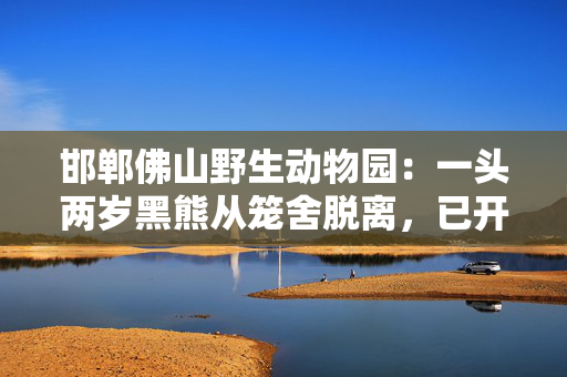 邯郸佛山野生动物园：一头两岁黑熊从笼舍脱离，已开展拉网式搜寻