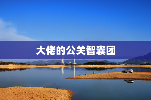 大佬的公关智囊团