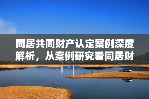 同居共同财产认定案例深度解析，从案例研究看同居财产归属问题