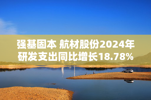 强基固本 航材股份2024年研发支出同比增长18.78%